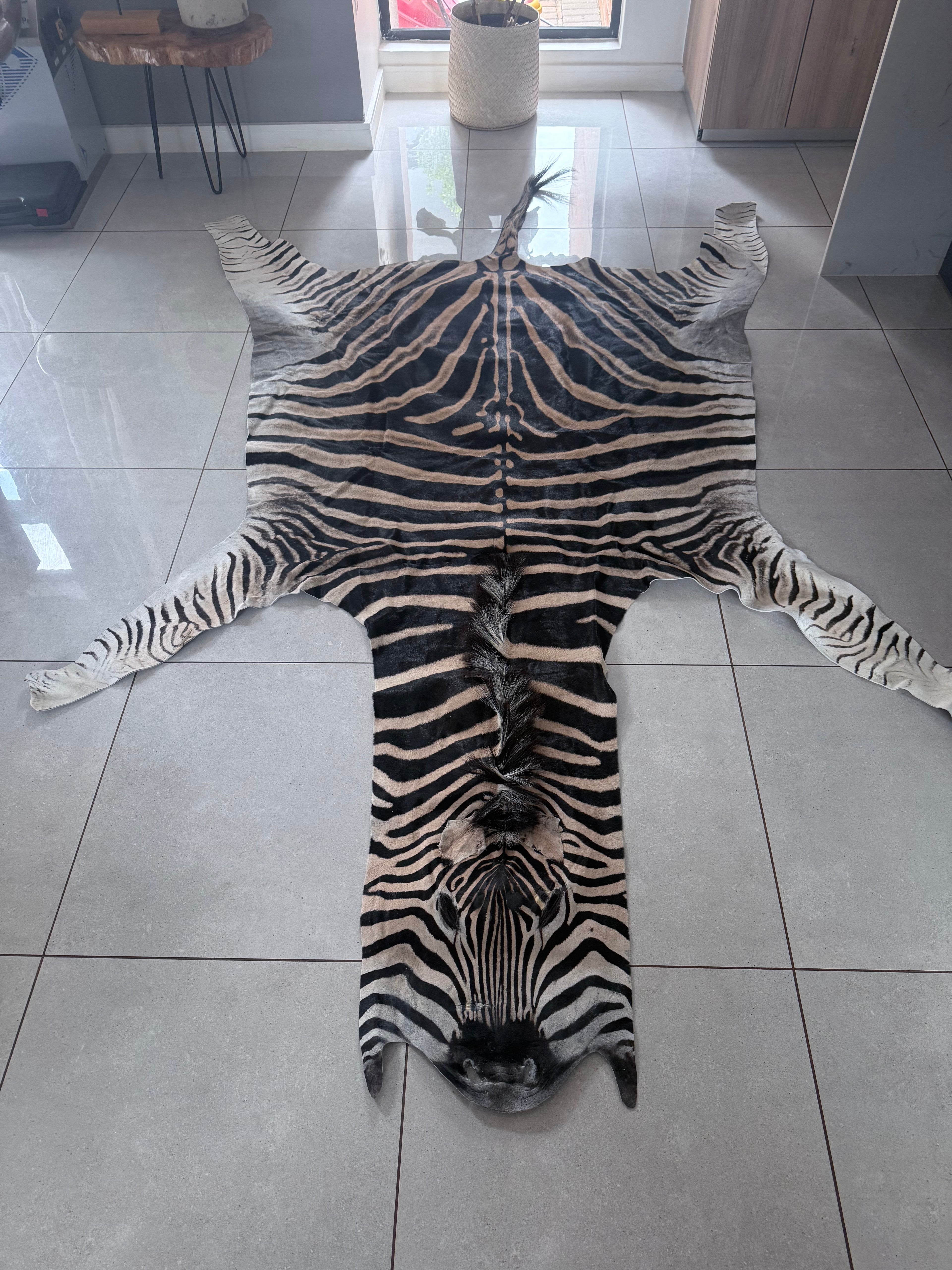 Cape Burchell Zebra Hide A+ 32367-1.0