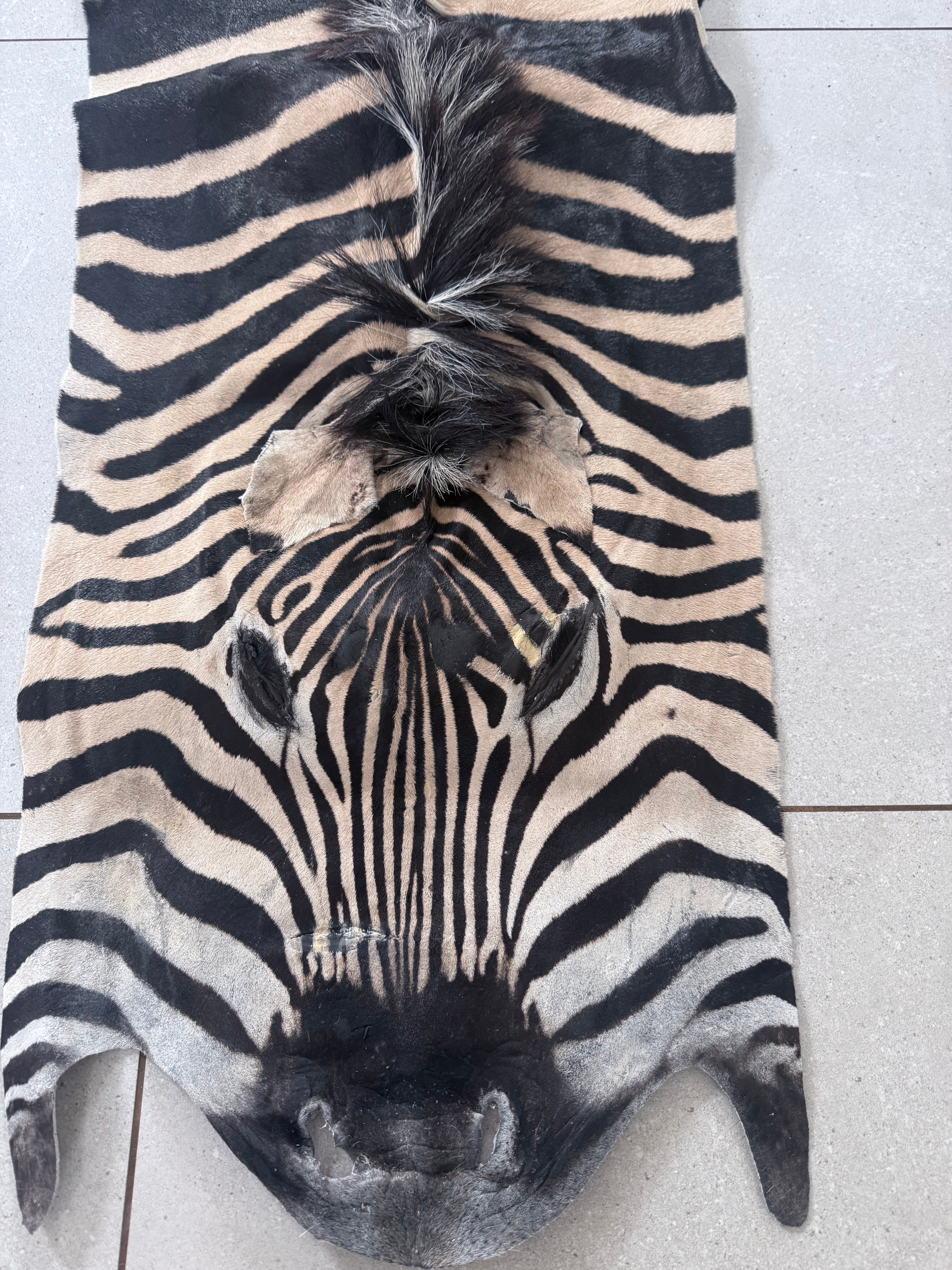 Cape Burchell Zebra Hide A+ 32367-1.0