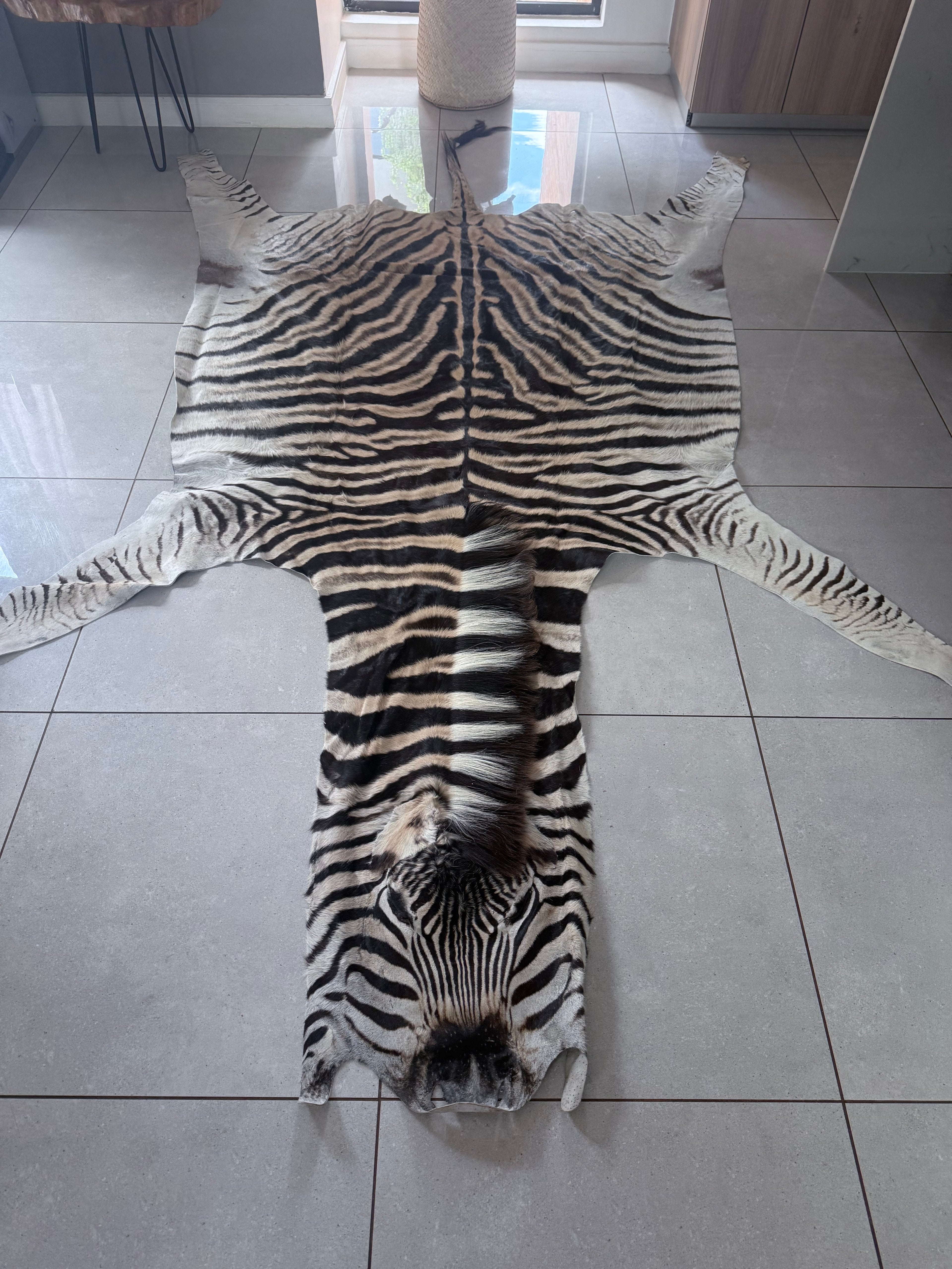 Premium Grade Burchell’s Zebra Hide – Natural Character Finish