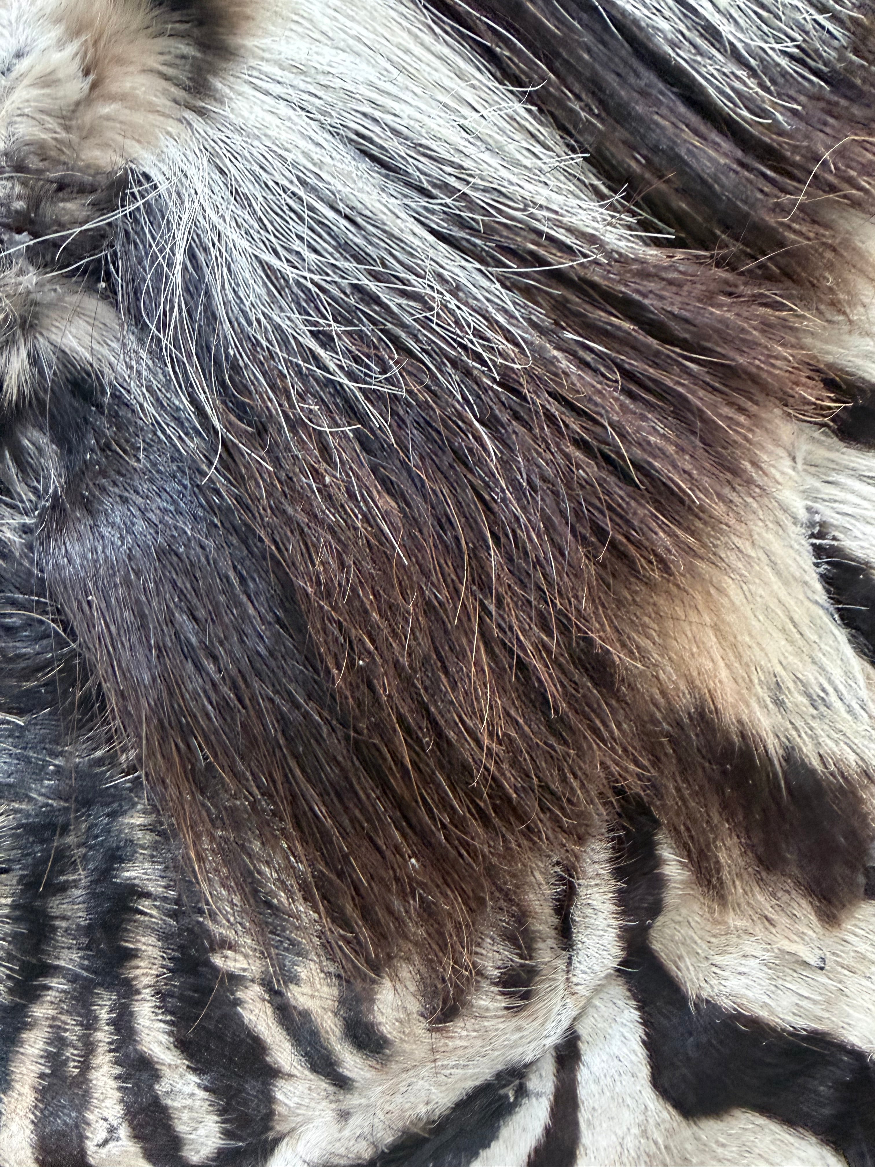 Premium Grade Burchell’s Zebra Hide – Natural Character Finish