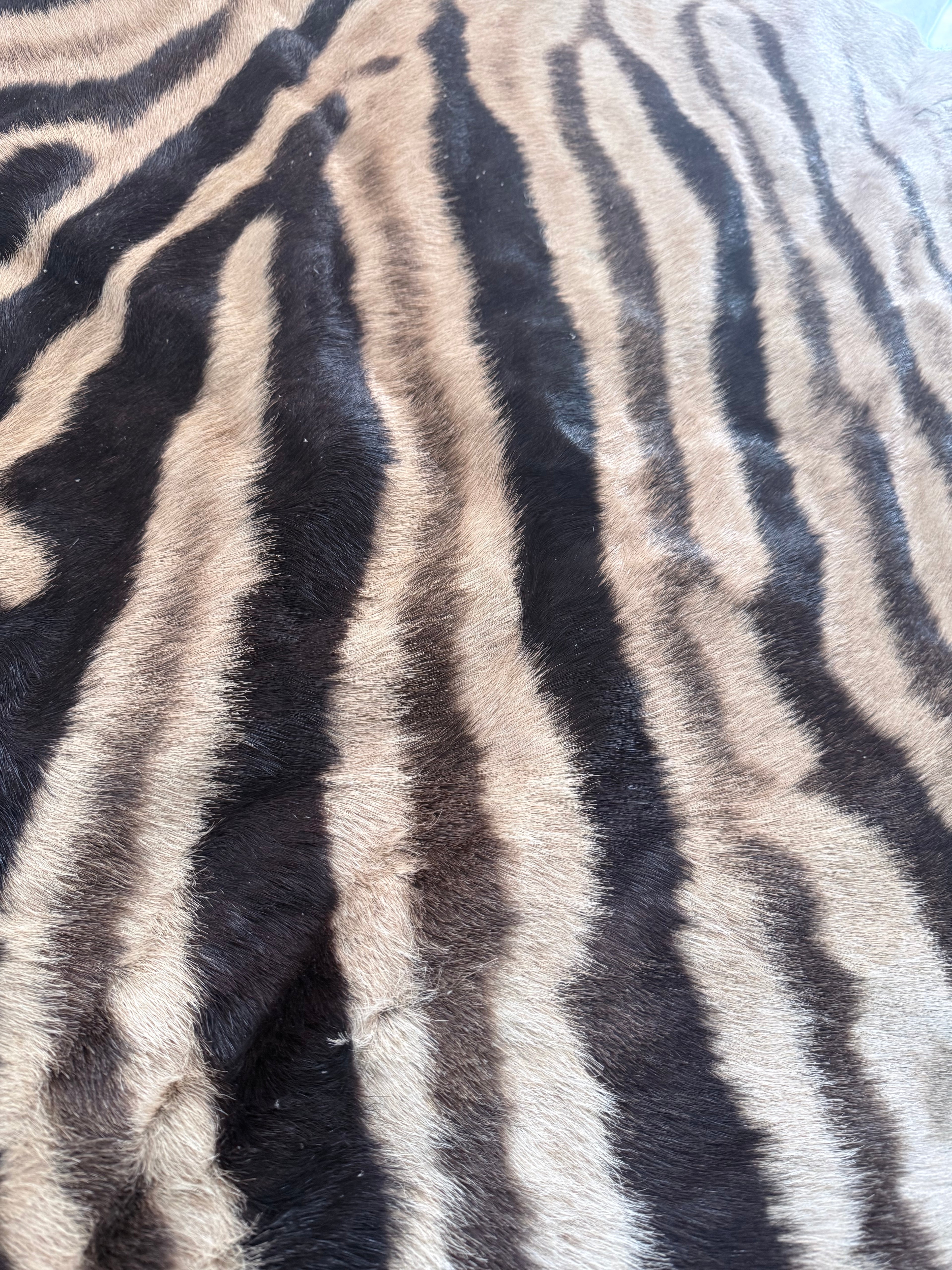 Premium Grade Burchell’s Zebra Hide – Natural Character Finish