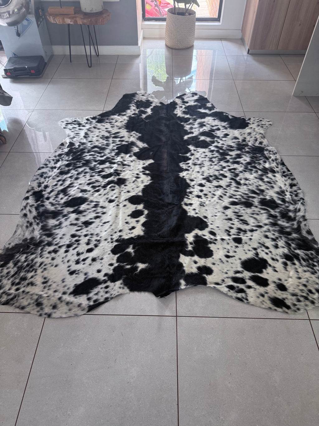 Nguni Hide B&W With dorsal line