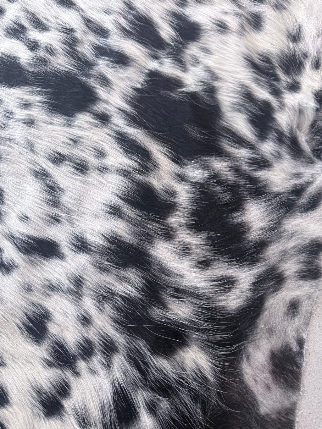 Nguni Hide B&W With dorsal line