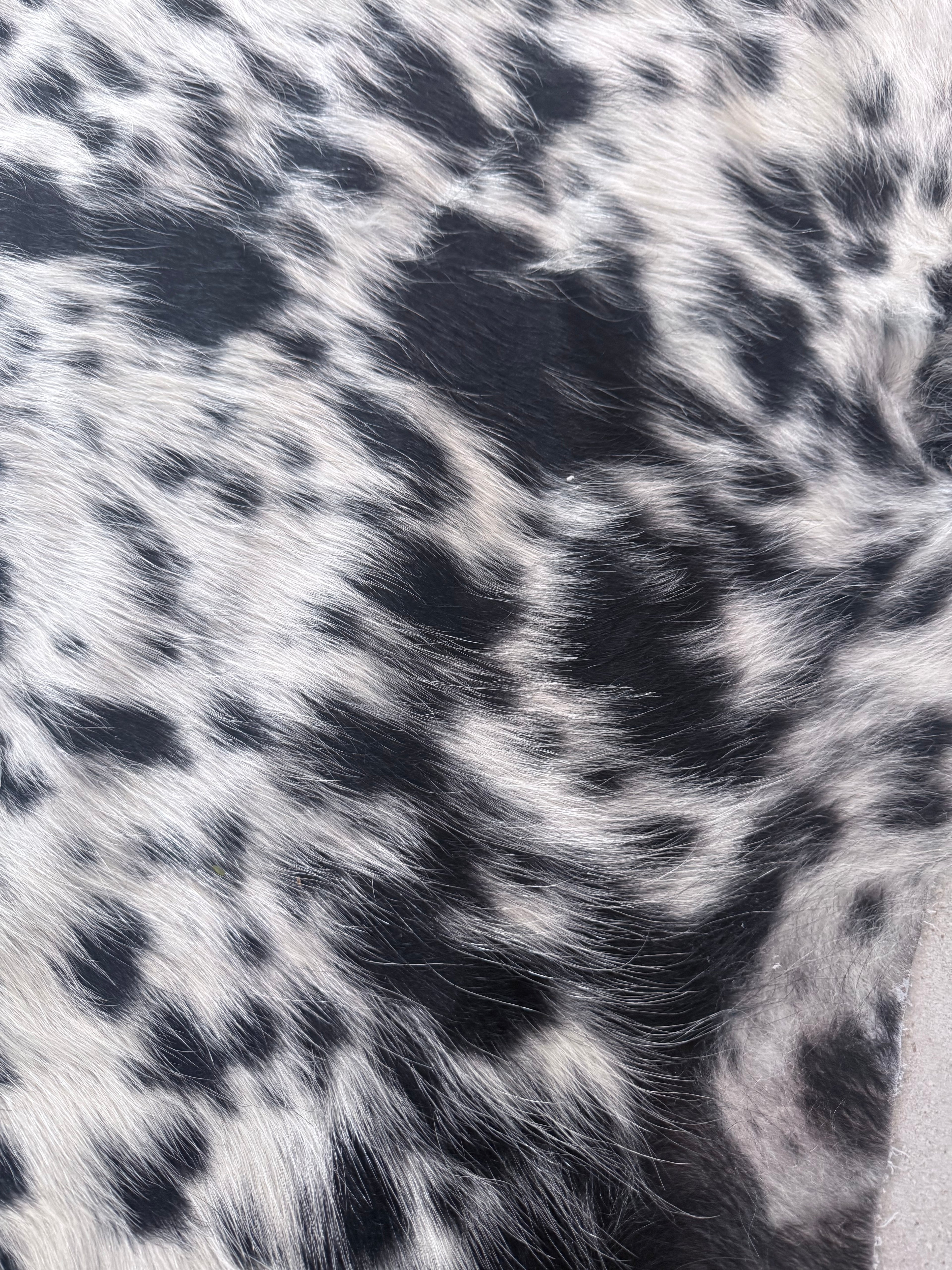 Nguni Hide B&W With dorsal line