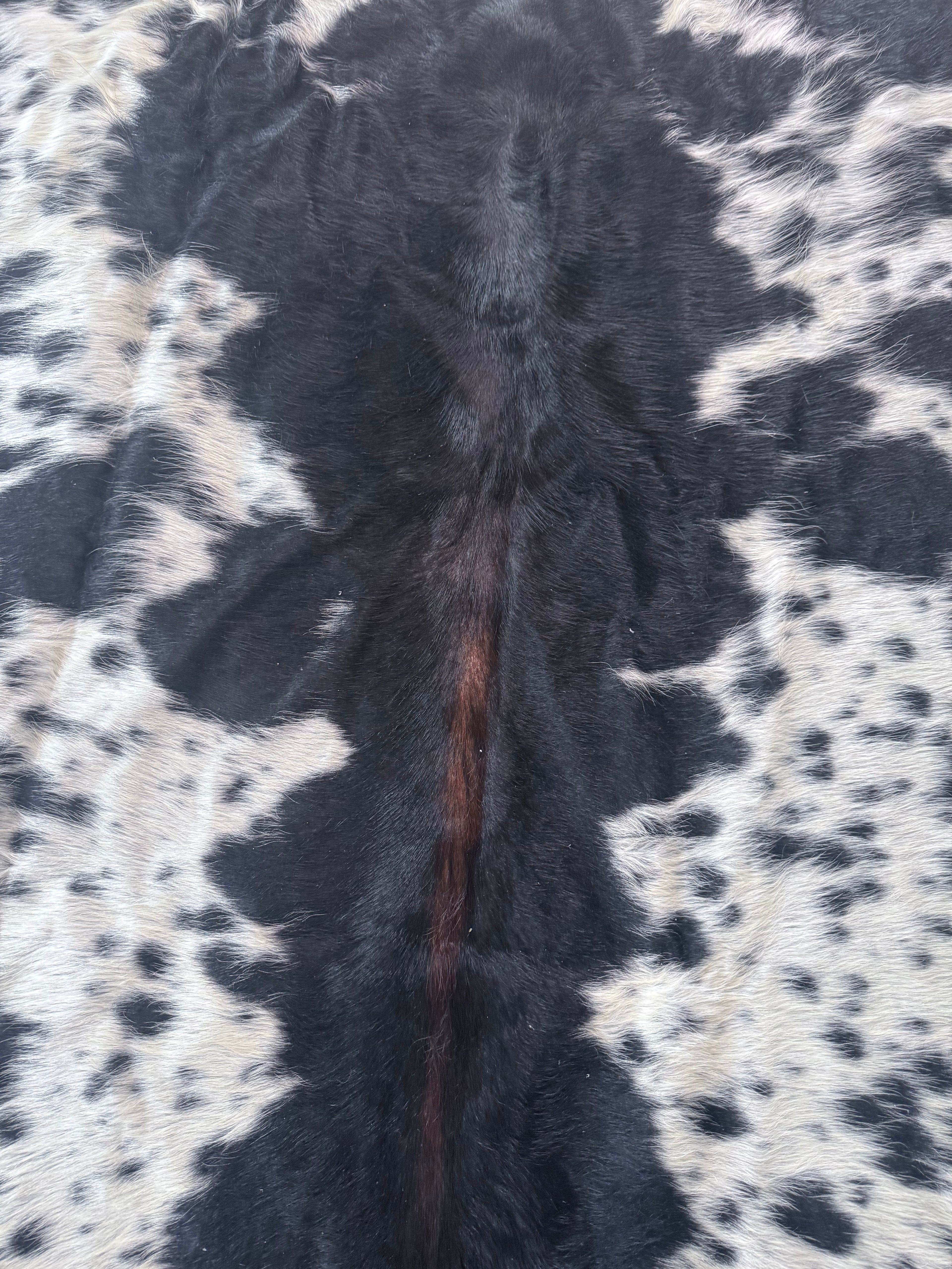 Nguni Hide B&W With dorsal line
