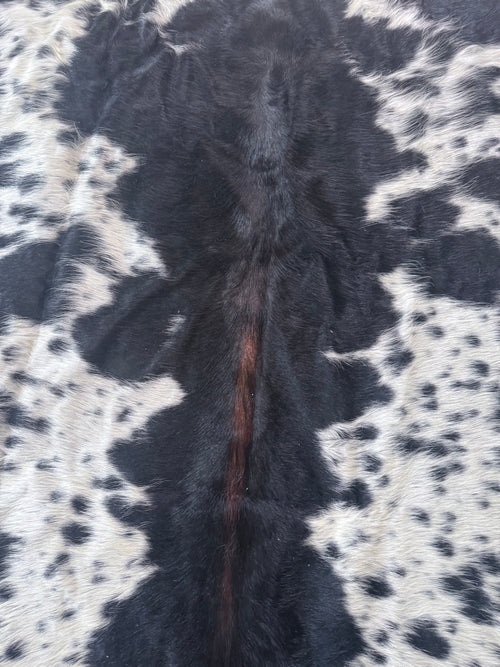 Nguni Hide B&W With dorsal line