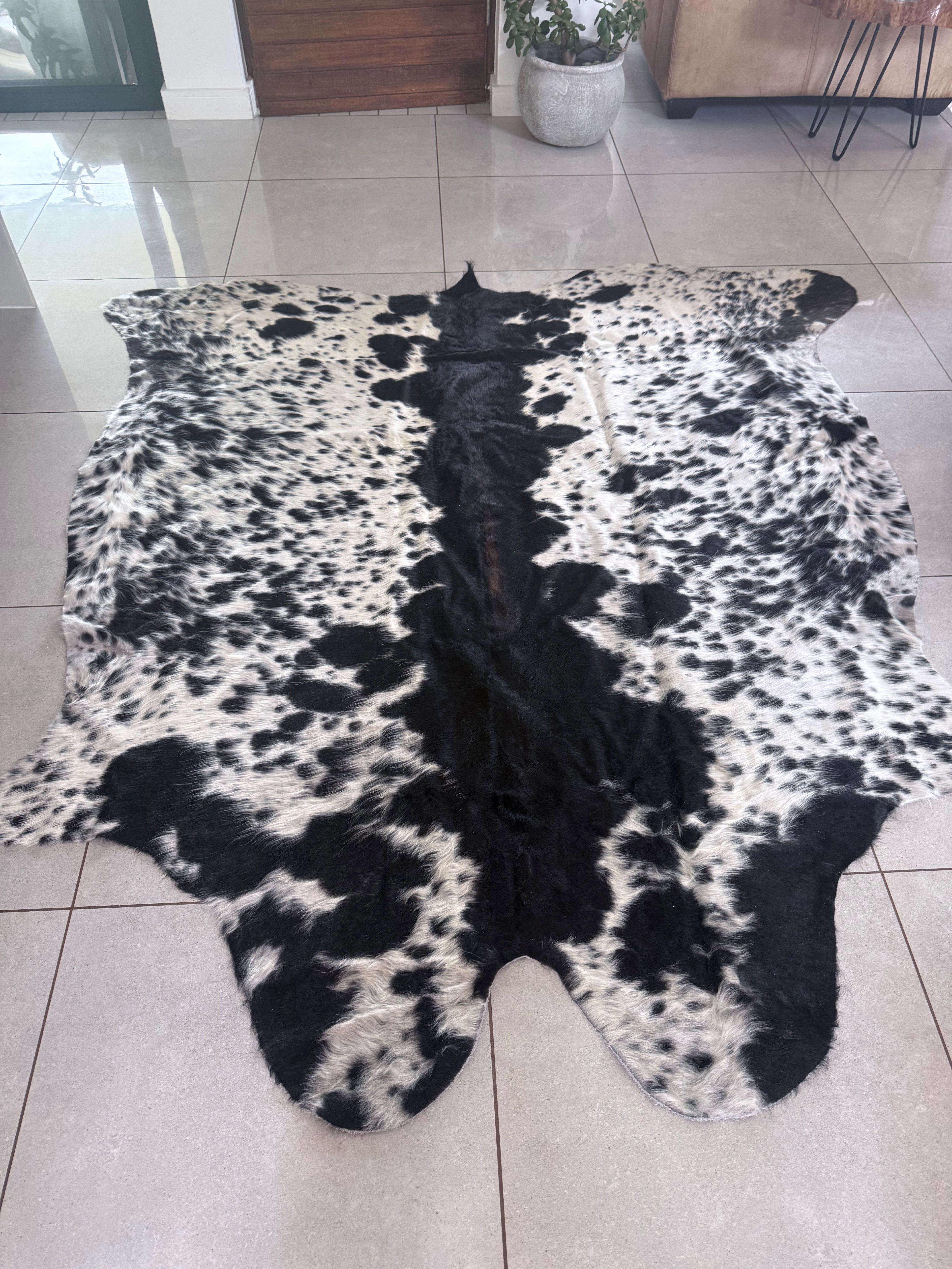 Nguni Hide B&W With dorsal line